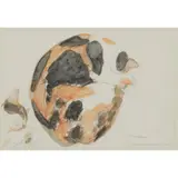 Elizabeth Blackadder, SLEEPING CATS, 1981