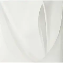 Alison Watt, LOVE II, 2002, oil on canvas