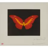 Damien Hirst, TO LOSE (RED BUTTERFLY), 2008, ' signed and dedicated 'For Daniel' in pencil