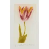 Elizabeth Blackadder, TULIP, RED AND YELLOW, Etching with aquatint, 17/20