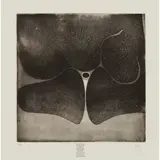 Victor Pasmore, WHEN THE CURTAIN FALLS (FROM 'WORD AND IMAGE'), 1974, Etching, 33/60, initialled