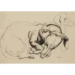 William Crosbie, DACHSHUNDS LYING ('MARTIN'), ink and wash