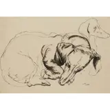 William Crosbie, DACHSHUNDS LYING ('MARTIN'), ink and wash