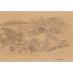 John Maxwell, CARSETHORN, pencil on buff paper