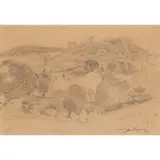 John Maxwell, CARSETHORN, pencil on buff paper