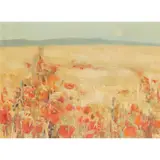 Perpetua M. Pope, SUMMER FIELD, oil on canvas