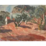 William Wilson, OLIVE TREES IN PROVENCE