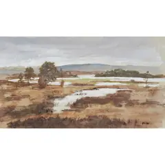 Paul Reid, RANNOCH MOOR, watercolour