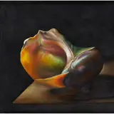 David Warrilow, THE TURBAN SHELL, 1991, oil on board