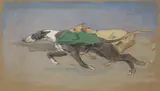 George Denholm Armour, RACING GREYHOUNDS, Mixed media on buff paper