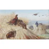 Archibald Thorburn, RED GROUSE AND BLACKCOCK AMONGST THE STOOKS