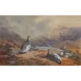 Archibald Thorburn, PTARMIGAN ON A HILLSIDE