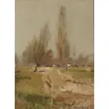 Stuart Park, PAYSAGE, CHEMIN ET ARBRES