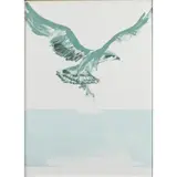 Elisabeth Frink, Osprey, 1974 (Wiseman 91), lithograph in colours, published by CCA Galleries
