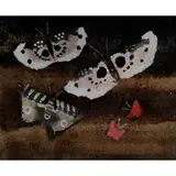 Mary Fedden, Mauve Moths, 1974