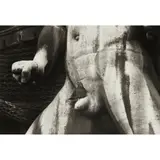 Robert Doisneau, UNTITLED (BIRD AND SCULPTURE), Silver gelatin print