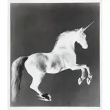 Mark Wallinger, GHOST, 2001, Screenprint, 95/500