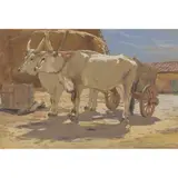 Charles Oppenheimer, CHIANINA CATTLE IN A FARMYARD