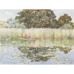 Charles Oppenheimer, THE LILY POND, watercolour