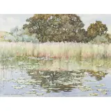 Charles Oppenheimer, THE LILY POND