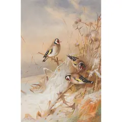 Archibald Thorburn, GOLDFINCHES IN THE SNOW, watercolour