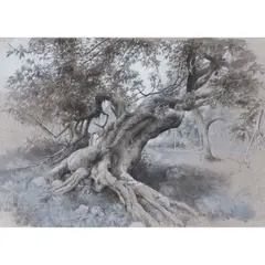 Paul Reid, TREES - LOCH NESS, ink, charcoal and acrylic