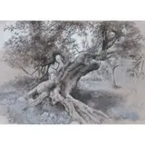 Paul Reid, TREES - LOCH NESS, ink, charcoal and acrylic
