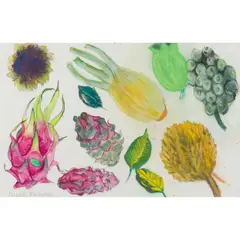 Elizabeth Blackadder, FENNEL AND DRAGON FRUIT, mixed media