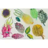 Elizabeth Blackadder, FENNEL AND DRAGON FRUIT, mixed media