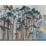 Duncan Shanks, TREE GROUP