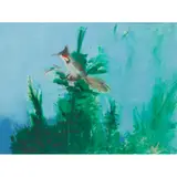 RED WHISKERED BULBUL, SYDNEY by David Michie, oil on canvas, sold Jan 2021