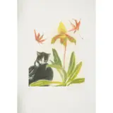 Elizabeth Blackadder, CAT AND ORCHID, Colour lithograph, 48/100
