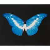 Damien Hirst, BLUE BUTTERFLY (SMALL), ' signed and dedicated 'For Loic' in pencil