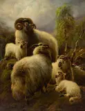 Robert Watson, SHEEP ON A HILLSIDE, oil on canvas