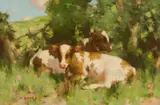David Gauld, CALVES IN THE SHADE, oil on canvas