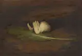 George Pirie, YOUNG RABBITS, oil on canvas