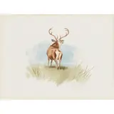 Archibald Thorburn, STUDY OF A STAG