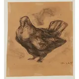 Nicola Hicks, PIGEON III, 1995, charcoal on brown paper