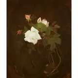 Stuart Park, PINK ROSES