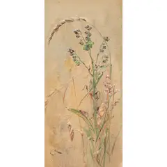 Edwin John Alexander, A STILL-LIFE OF BUTTERFLY AND GRASSES, watercolour on buff paper