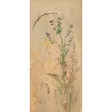 Edwin John Alexander, A STILL-LIFE OF BUTTERFLY AND GRASSES, watercolour on buff paper