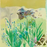 David Michie, SOME IRISES, oil on canvas