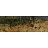 James Morrison, WOODED LANDSCAPE, oil on board