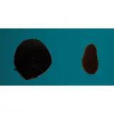 Nicholas May, UNTITLED, 1989, mixed media on canvas
