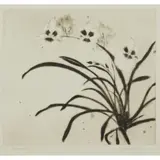 Elizabeth Blackadder, ORCHID