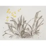 Elizabeth Blackadder, YELLOW ORCHIDS