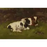 David Gauld, CALVES IN A BYRE, oil on canvas