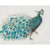 Elizabeth Blackadder, SCREECHING PEACOCK