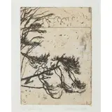 Victoria Crowe, SNOW PINE, chine colle and wax print, 1/25