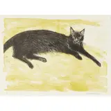 Elizabeth Blackadder, Black Cat, Lithograph